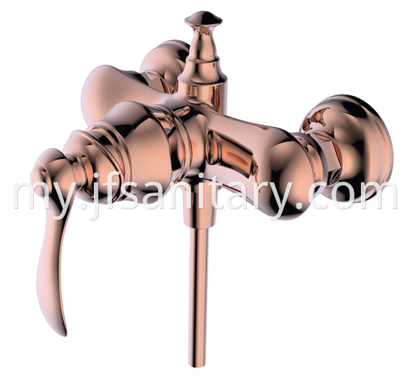 shower valve and handle